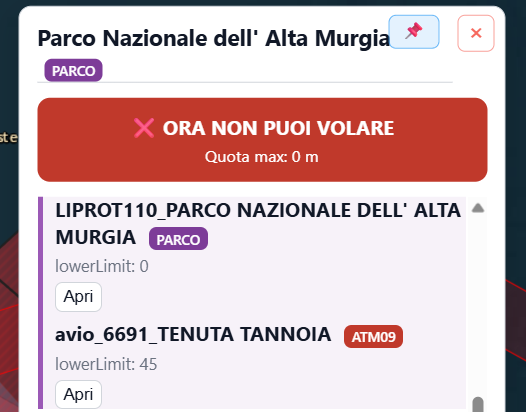 Esempio di badge principale nel pannello zona