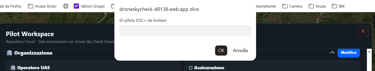 Invito pilota nell'organizzazione operatore